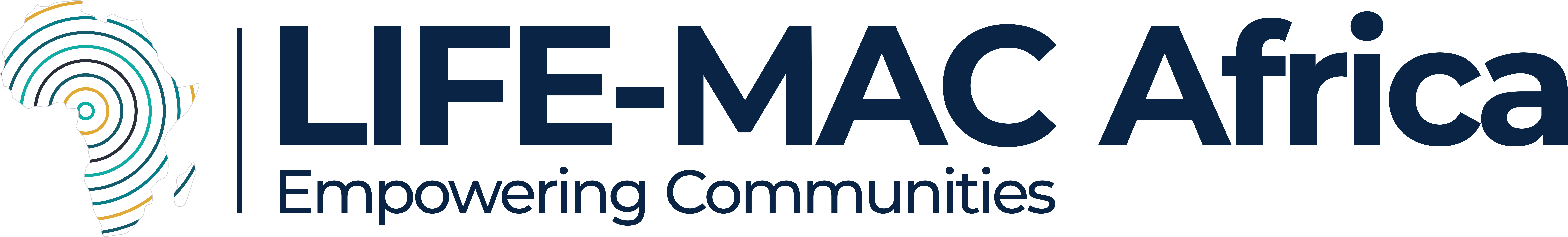 Next African Genius Logo